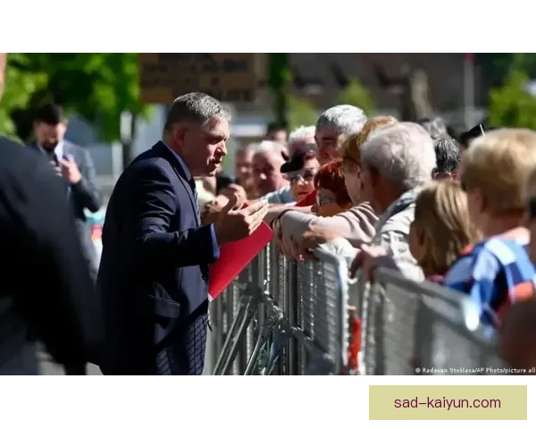 斯洛伐克反击王