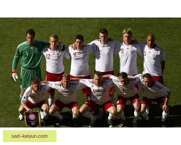 南非2010世界杯：激情与团结的盛会展现足球的魔力与影响力