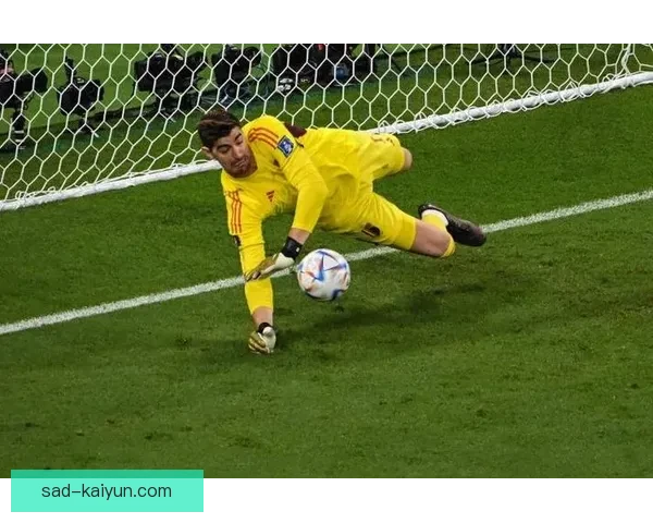 库尔图瓦比利时国家队表现稳健，备受期待迎接未来赛事挑战