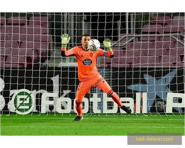 佩德里转会费总和分析，近期市场表现稳健引发关注